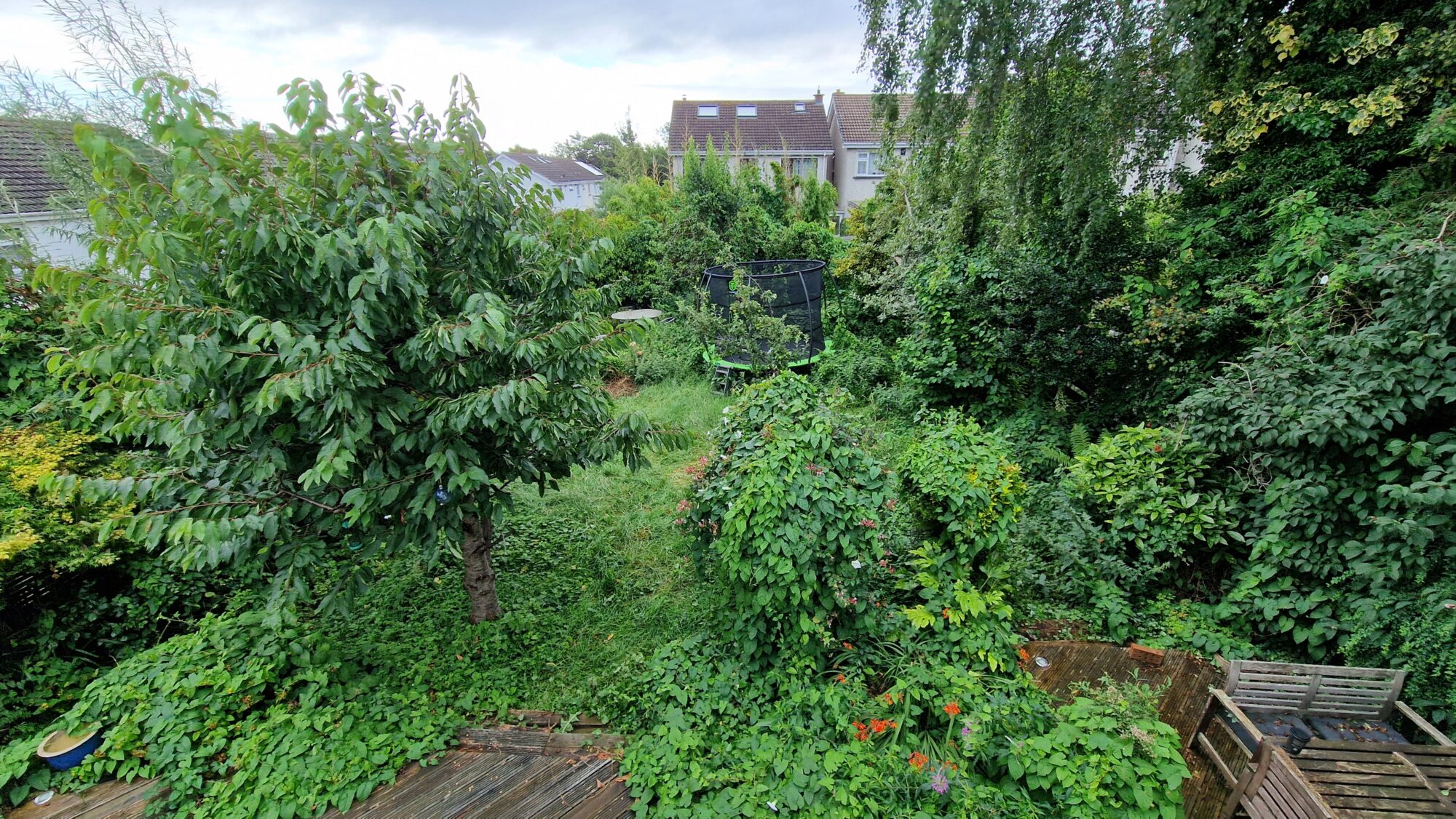 Full Garden Transformation Services In Kildare